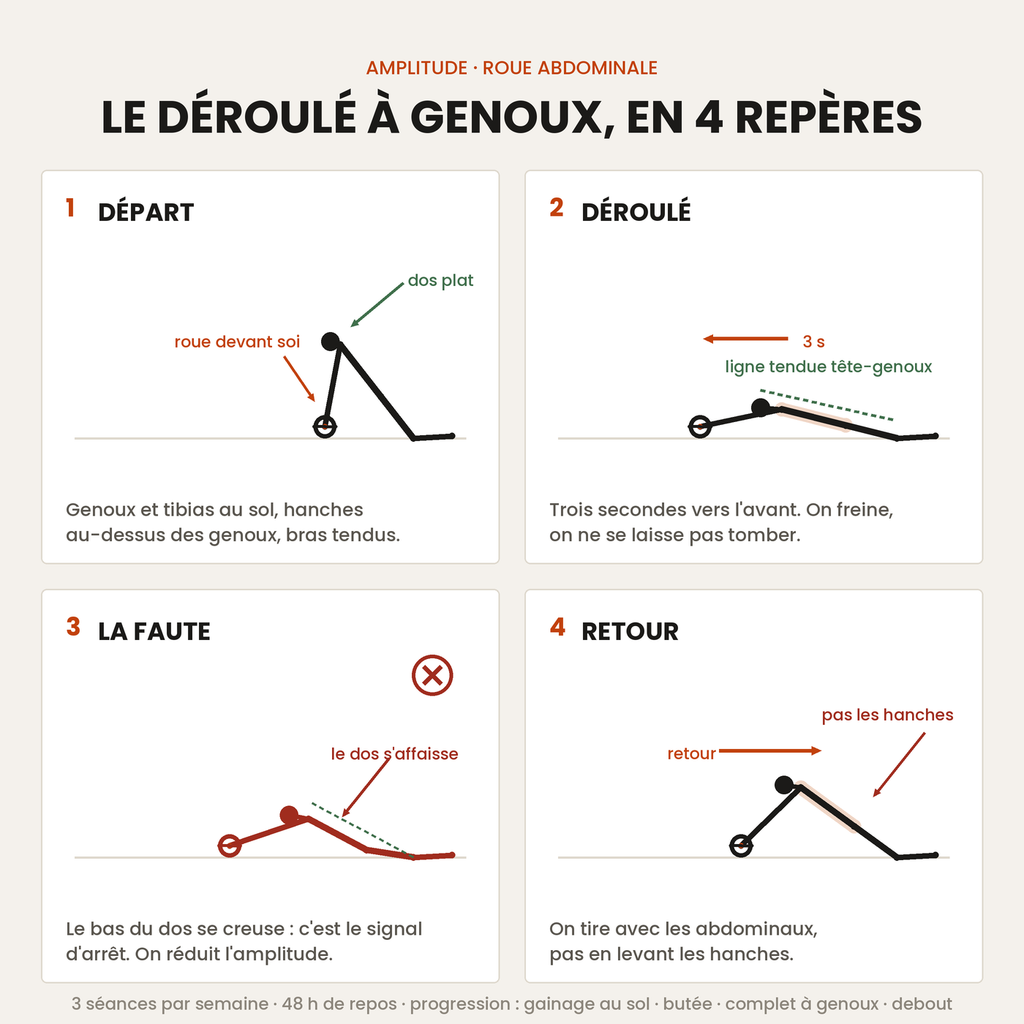 Schéma en quatre vignettes : position de départ à genoux, déroulé, dos creusé à éviter, retour